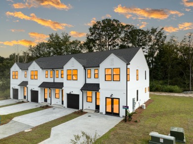 Lake Home For Sale in Summerville, South Carolina