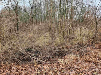 DON'T MISS A RARE OPPORTUNITY TO OWN LAND WITH STUNNING VIEWS - photo 2