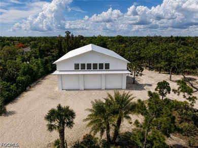 A rare opportunity to own a 60' x 100' reinforced concrete barn - photo 3