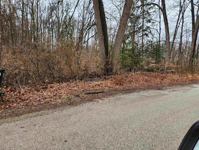 DON'T MISS A RARE OPPORTUNITY TO OWN LAND WITH STUNNING VIEWS - photo 4