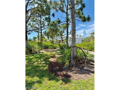 A rare opportunity to own a 60' x 100' reinforced concrete barn - photo 9