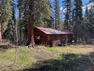 Lake Home For Sale in Creede, Colorado
