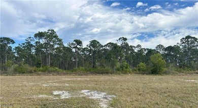Opportunity Knocks! Discover this rare, oversized lot in the - photo 3