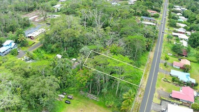 $29,000 lot in Hawaiian Shores subdivision with seller financing - photo 4