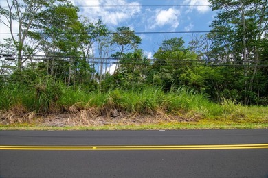 $29,000 lot in Hawaiian Shores subdivision with seller financing - photo 5