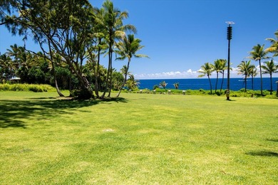 $29,000 lot in Hawaiian Shores subdivision with seller financing - photo 8
