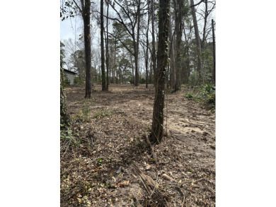 Open Water Cove! Improvement Price $175000 - photo 10