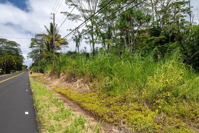 $29,000 lot in Hawaiian Shores subdivision with seller financing - photo 9