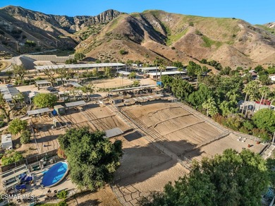 Courtship Ranch | Legacy Equestrian Facility In Shadow Hills / - photo 11