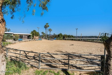 Courtship Ranch | Legacy Equestrian Facility In Shadow Hills / - photo 15