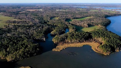 This exceptional Eufaula property is a paradise waiting to be - photo 5