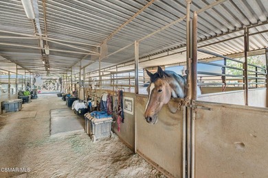 Courtship Ranch | Legacy Equestrian Facility In Shadow Hills / - photo 16