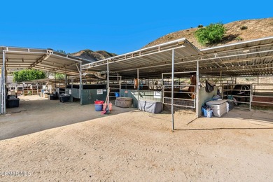 Courtship Ranch | Legacy Equestrian Facility In Shadow Hills / - photo 17