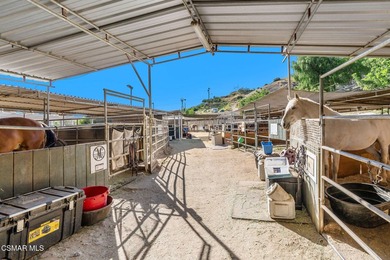 Courtship Ranch | Legacy Equestrian Facility In Shadow Hills / - photo 18
