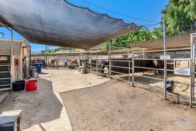 Courtship Ranch | Legacy Equestrian Facility In Shadow Hills / - photo 19