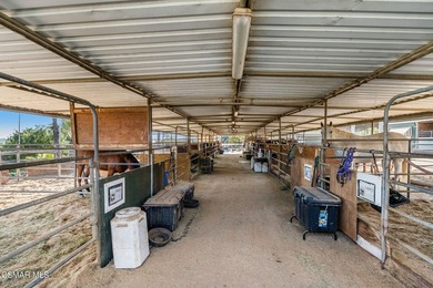 Courtship Ranch | Legacy Equestrian Facility In Shadow Hills / - photo 20