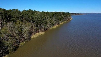 This exceptional Eufaula property is a paradise waiting to be - photo 10