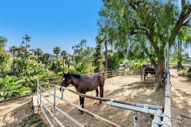 Courtship Ranch | Legacy Equestrian Facility In Shadow Hills / - photo 21