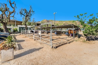 Courtship Ranch | Legacy Equestrian Facility In Shadow Hills / - photo 22