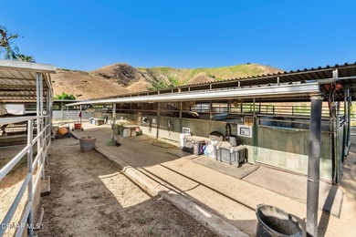 Courtship Ranch | Legacy Equestrian Facility In Shadow Hills / - photo 24