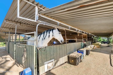 Courtship Ranch | Legacy Equestrian Facility In Shadow Hills / - photo 25