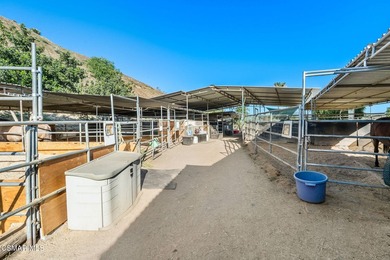 Courtship Ranch | Legacy Equestrian Facility In Shadow Hills / - photo 27