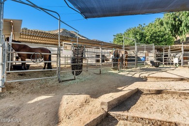 Courtship Ranch | Legacy Equestrian Facility In Shadow Hills / - photo 28