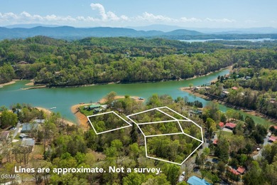 6 LOTS TOTALING APPROXIMATELY 2.54 ACRES!! A Rare Douglas Lake - photo 29