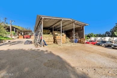 Courtship Ranch | Legacy Equestrian Facility In Shadow Hills / - photo 34