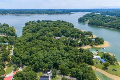 6 LOTS TOTALING APPROXIMATELY 2.54 ACRES!! A Rare Douglas Lake - photo 34