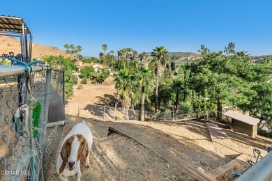 Courtship Ranch | Legacy Equestrian Facility In Shadow Hills / - photo 35