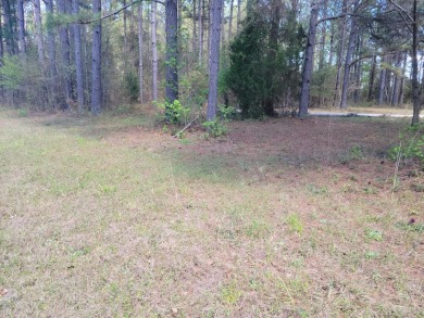 Lake Eufaula / Walter F. George Lot For Sale in Fort Gaines Georgia