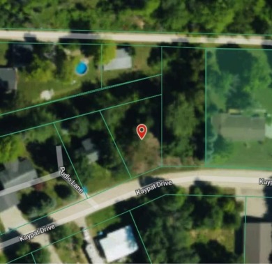 (private lake, pond, creek) Lot For Sale in Rhodes Michigan
