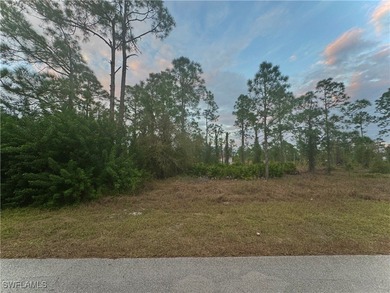 Lehigh Acres Area Lot For Sale in Lehigh Acres Florida