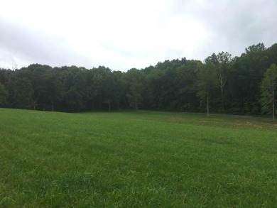 Lake Acreage For Sale in Jamestown, Kentucky