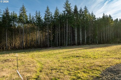 Silver Lake - Cowlitz County Lot For Sale in Castlerock Washington