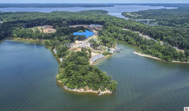 Explore lakefront living at Eagle Landing on Kentucky Lake and - photo 5