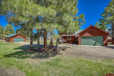 Lake Home For Sale in Pagosa Springs, Colorado