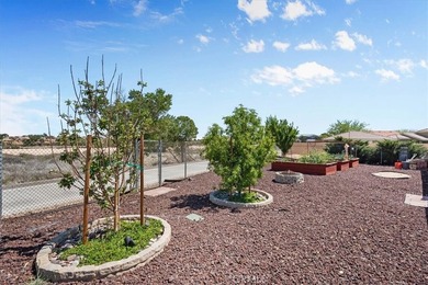 13391 Driftwood - photo 31