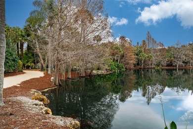 Situated on the 6th fairway along the course of Isleworth Golf & - photo 39