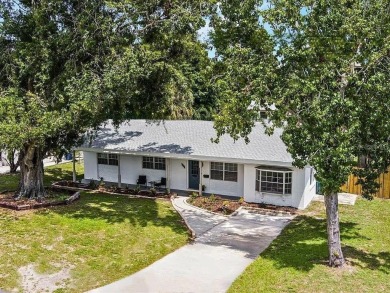 Lake Elbert Home For Sale in Winter Haven Florida