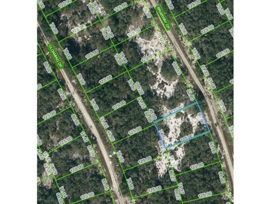 Lake Grassy Lot For Sale in Lake Placid Florida