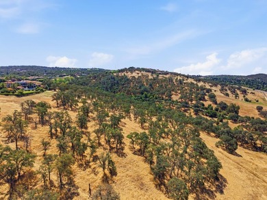 RARE EL DORADO HILLS DEVELOPMENT OPPORTUNITY | 11 ACRES | ZONED - photo 17