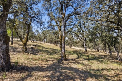 RARE EL DORADO HILLS DEVELOPMENT OPPORTUNITY | 11 ACRES | ZONED - photo 19