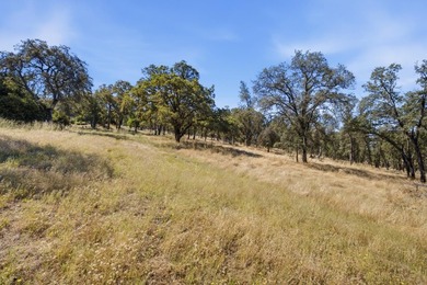 RARE EL DORADO HILLS DEVELOPMENT OPPORTUNITY | 11 ACRES | ZONED - photo 20