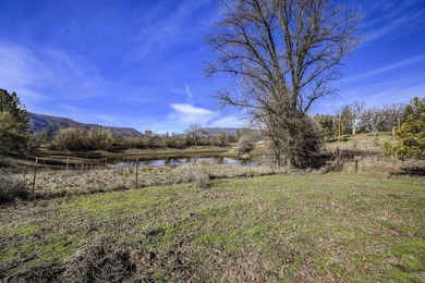 Welcome to 41324 Pamela Place, a tranquil 3-bedroom, 2-bathroom - photo 20