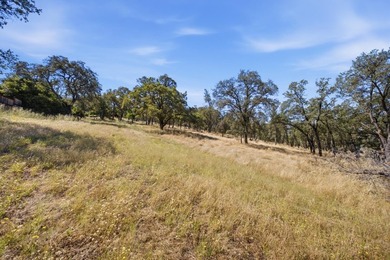 RARE EL DORADO HILLS DEVELOPMENT OPPORTUNITY | 11 ACRES | ZONED - photo 21