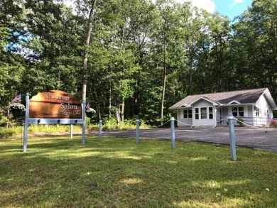 Higgins Lake Commercial For Sale in Roscommon Michigan