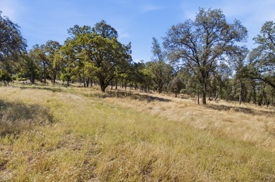 RARE EL DORADO HILLS DEVELOPMENT OPPORTUNITY | 11 ACRES | ZONED - photo 22