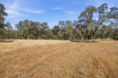 RARE EL DORADO HILLS DEVELOPMENT OPPORTUNITY | 11 ACRES | ZONED - photo 23